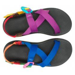 Chaco Z/1 Classic Sandal Progress Pride Men