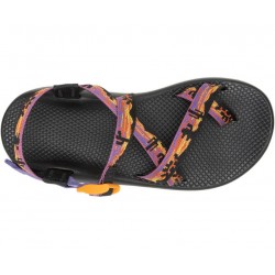 Chaco Z/2 Classic Landscapes USA Sandal Western Deserts Men